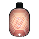 PANTHER BAR DISPOSABLE 5500 PUFFS 5%