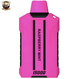 posh vertu raspberry mint disposable 50mg