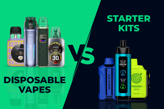 DISPOSABLE VAPES VS. STARTER KITS – WHO WINS?