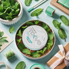 MINT 2MG - TOKYO NICOTINE GUM 2MG 40PC PACK